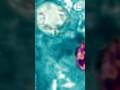 2 deaths reported in cyclosporiasis outbreak in Michigan as cases surpass 11,000