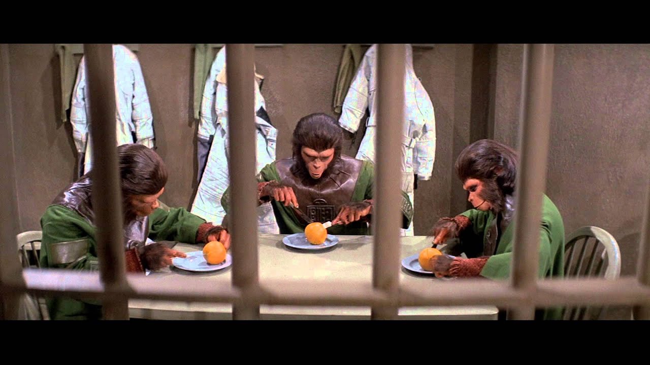 meet singes meet singes