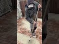 Update Sean laying free facebook marketplace brick #diy #shed #free #freebricks