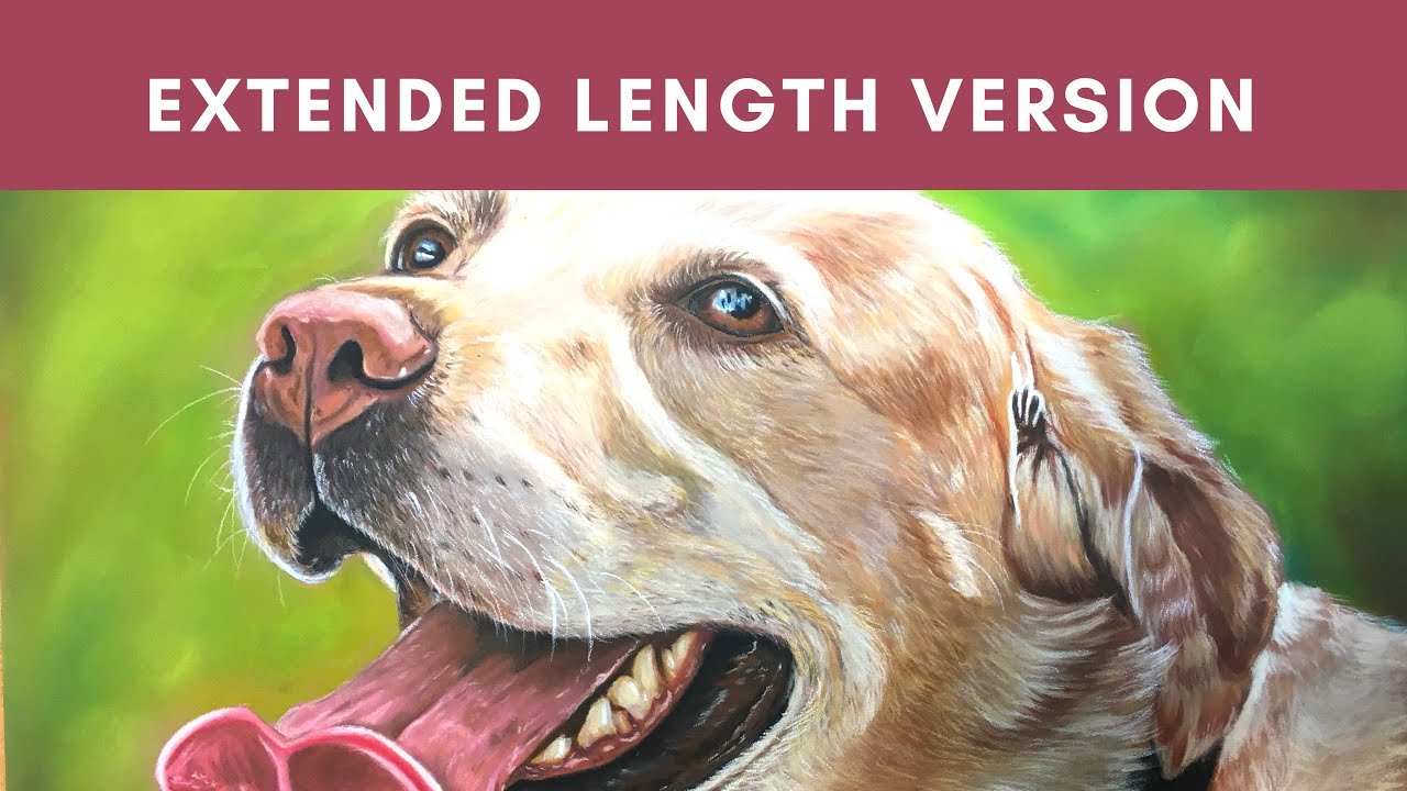 yellow lab portrait