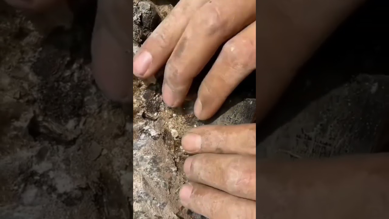 Black tourmaline, an oversized black gem crystal found on the mine 