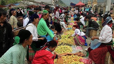 Phiên Chợ Miền Núi Bán Nhiều Đặc Sản Và Thảo Dược Quý Của Núi Rừng Tây Bắc | Tôi Người Vùng Cao