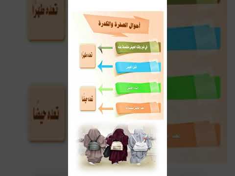 أحوال الكدرة والصفرة Shorts