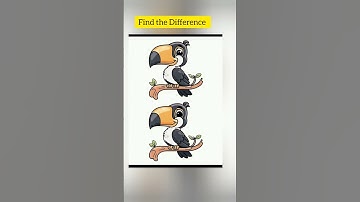 Find the Differences 99% failed❌ #shorts #viral #shortvideos