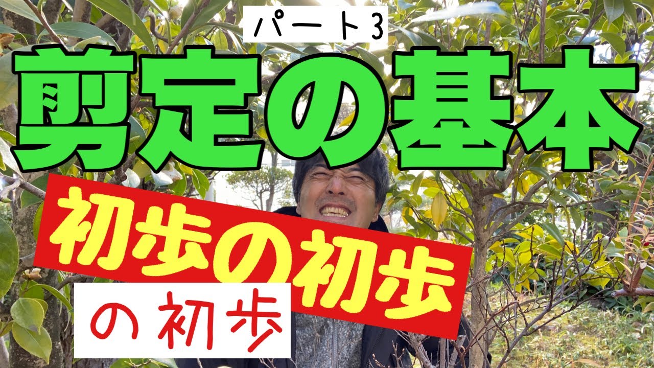 剪定の基本【剪定仕方】初歩の剪定のやり方を実際の映像をもとに簡単に解説。