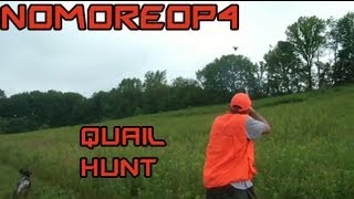 Bird (Quail) Hunting In Pennsylvania with a German Shorthaired