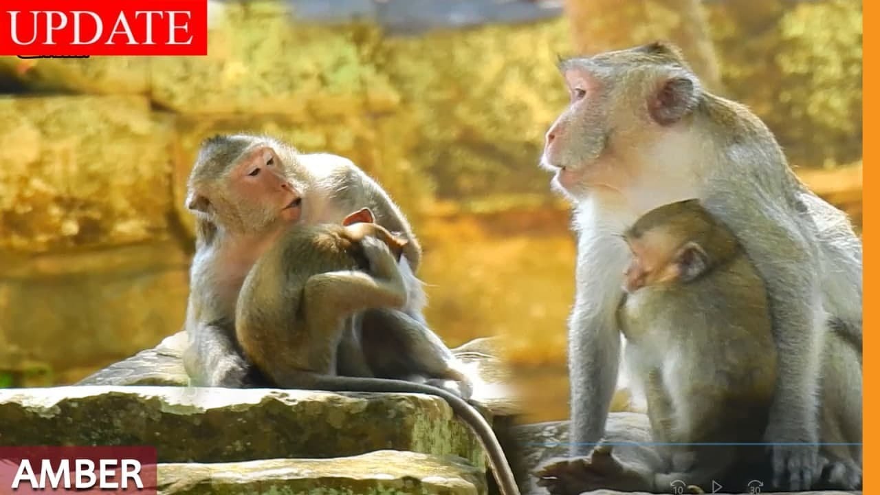 GOD: Jane Say Sorry 1000 to Scarlet after Making Sami Fall Down the Stone