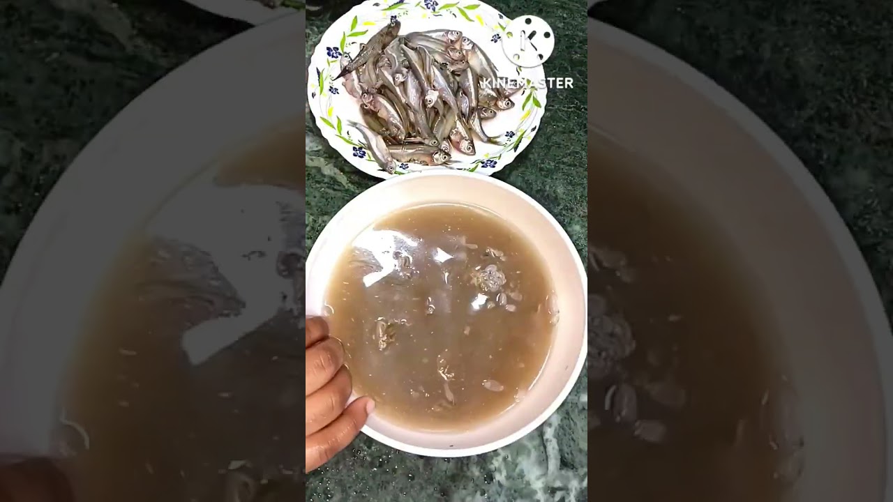 HOW TO CLEAN SMALL FISH 