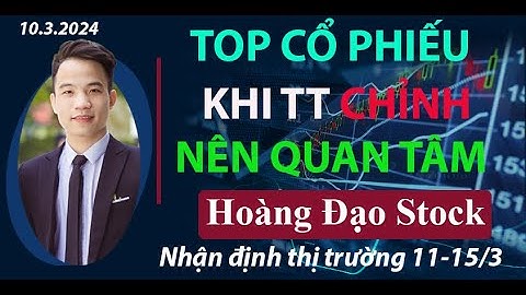 Top 3 cong ty thuy san dau nganh năm 2024