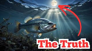 Testing The Moon Phase Theory: Does Lunar Illumination Actually Change Bass Behavior