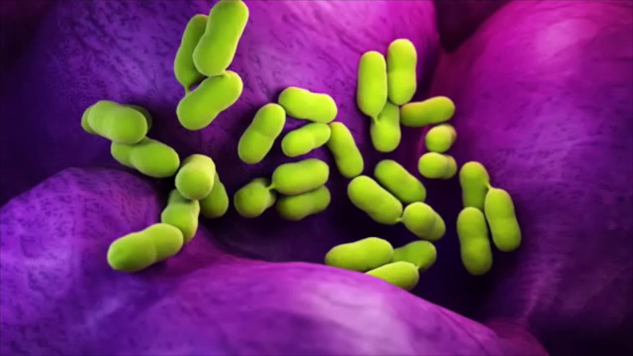 Listeria Outbreak - December, 2019