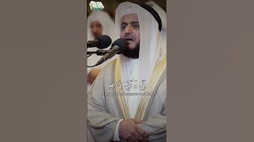 " قال إنما أشكو بثي وحزني إلى اللّٰه " بصوت الشيخ مشاري العفاسي "سورة يوسف" |surat yosuf alafasy|