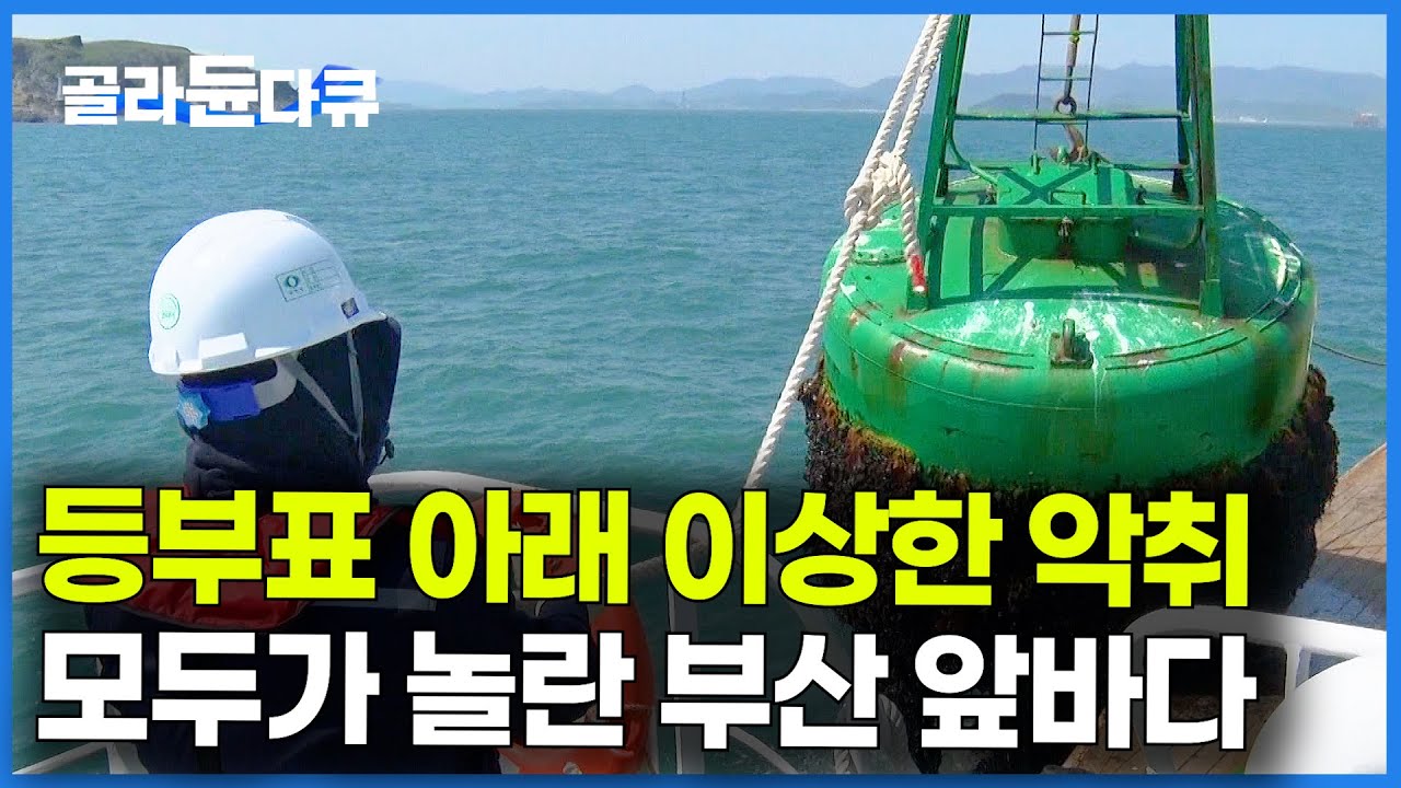 등부표 들어 올렸다가 전부 얼음.. 고기 안 잡히는 이유가 있다는 부산 앞바다 근황｜극한직업｜