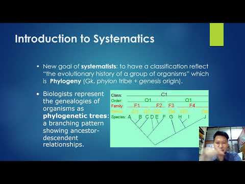 Systematics and Phylogeny (1/5)