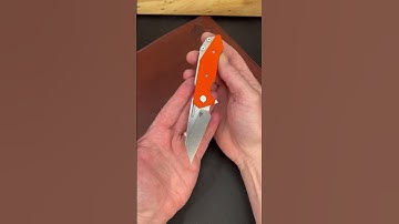 Hinderer Half Track Wharnie is Back!