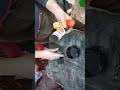 تصليح الجاكيت المقشر 