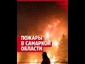 Природные пожары в Самарской области уничтожают леса и села | 63.RU