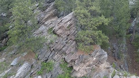 Understanding the Law of Original Horizontality