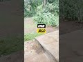 gak nyangka 😱