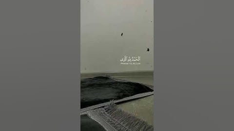 القارئ:فارس عباد #قرآن_كريم #فارس_عباد #اكسبلور #تلاوات #قران_كريم #قرآن