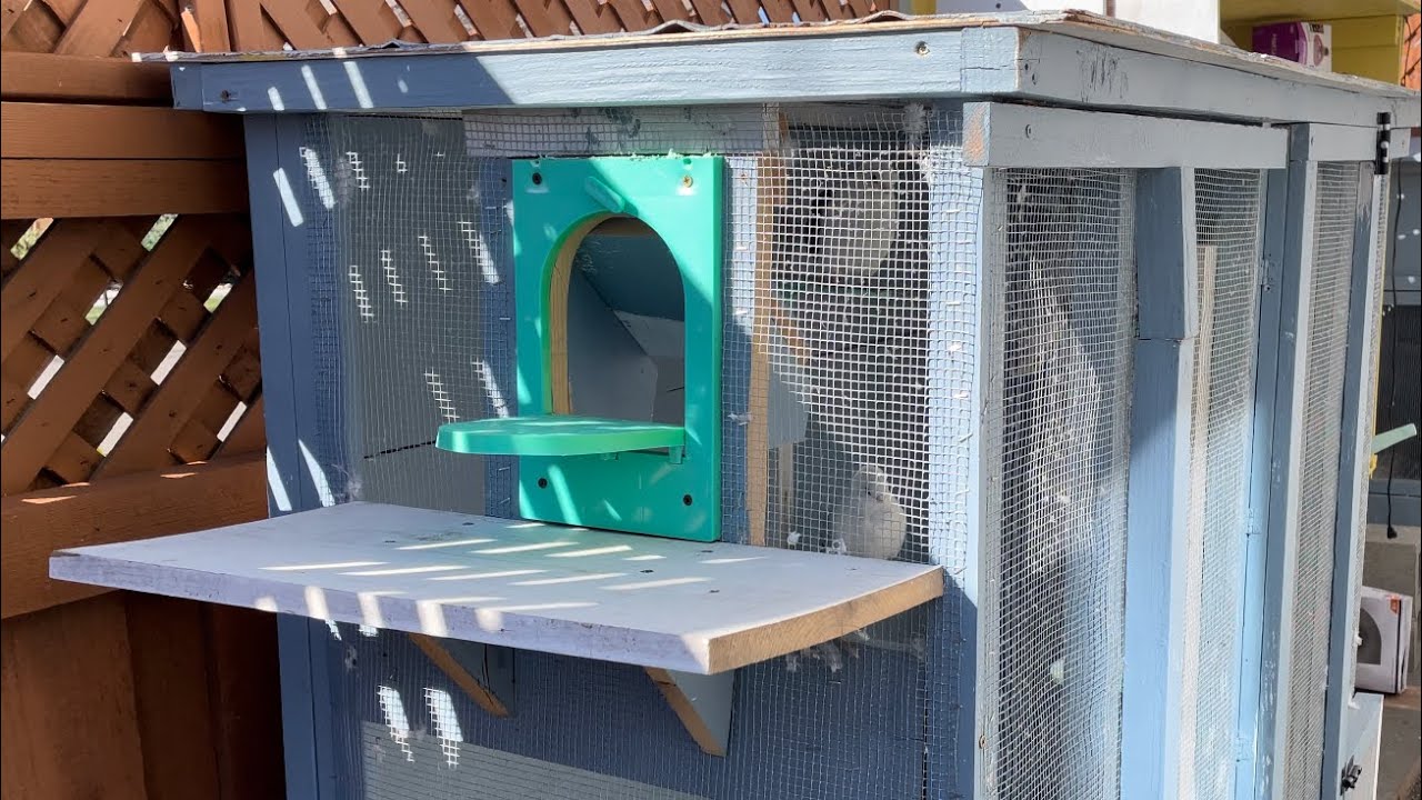 Homers Loft -small and efficient