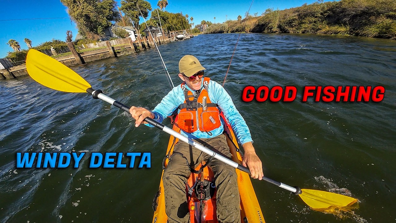 Fall Transition Bass on the California Delta like the WIND