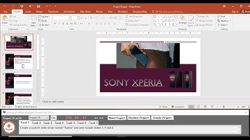 MOS PowerPoint 2016 - Project 19 (English)