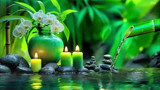 Bamboo Water Fountain Healing 24/7 自然の音とともに音楽をリラックス バンブーウォーターファウンテン 【癒し音楽BGM】