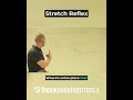 🔴 Stretch Reflex