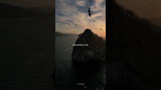 Ashe  Moral Of The Story s  Aesthetic ashe moralofthestory