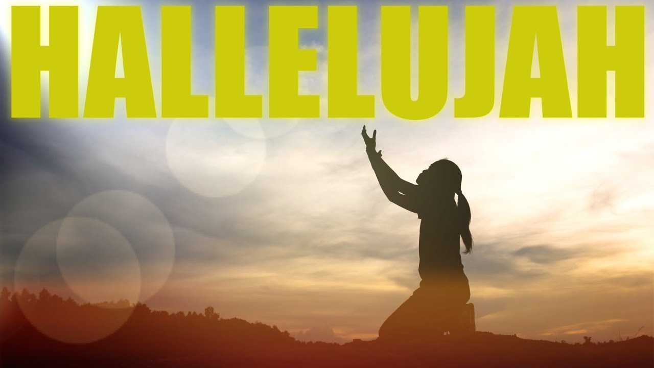 HALLELUJAH = PRAISES TO THE LORD!  🕊 