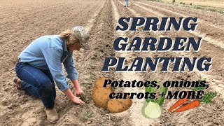 Planting The Spring Garden 2021 - Potatoes, Onions, Carrots More The Galloway Farm