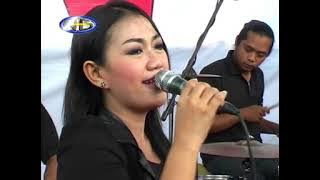 Penganten Baru gaVra MUSIC BLUBUK (4) #blubuk #brebes #tegal #slawi #gavramusic