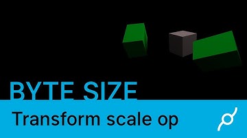 Transform and Scale ops tutorial - Byte Size