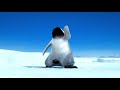 Prince  song of the heart happy feet