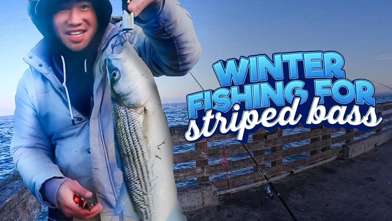 Winter fishing for striped bass Bay Area