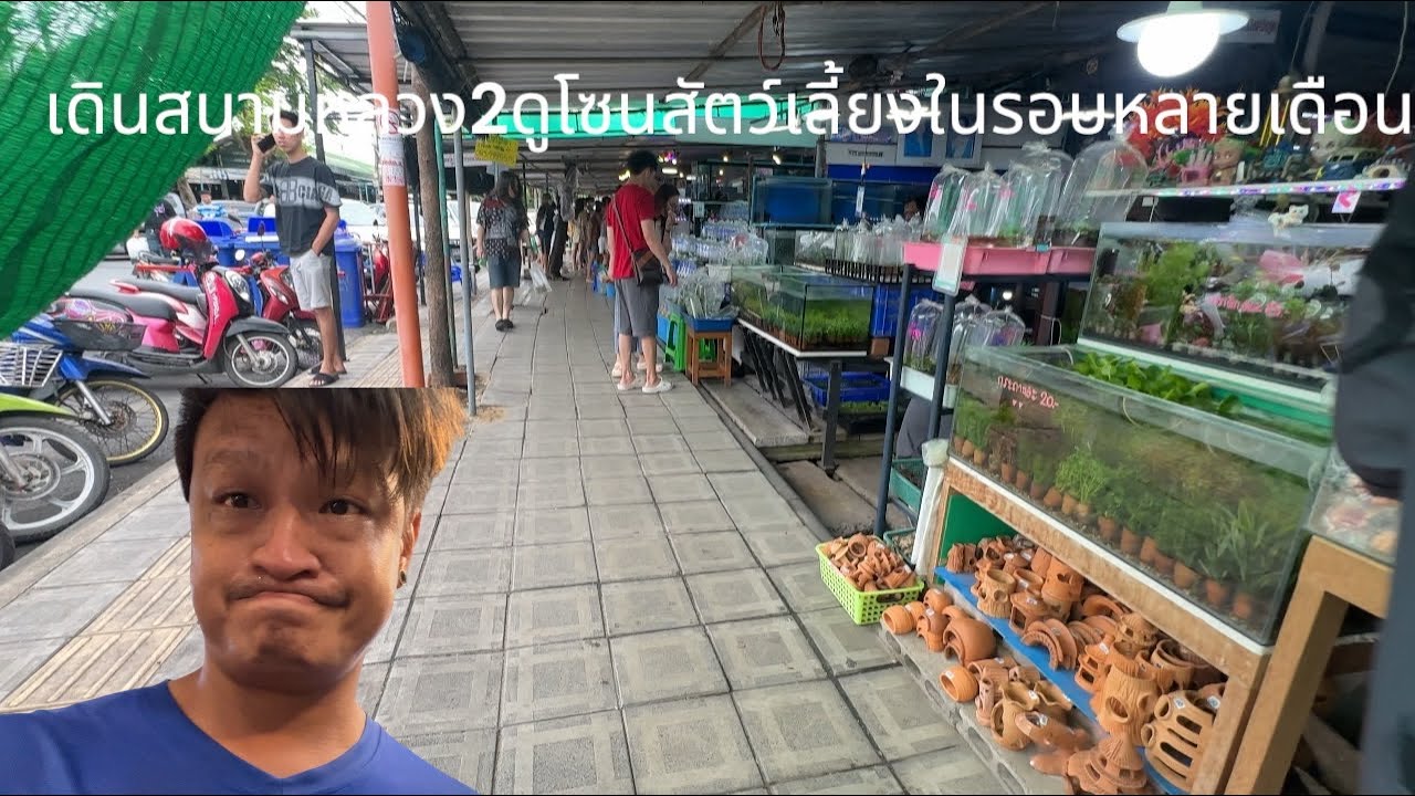 เดินตลาดธนบุรี สนามหลวง2 โซนสัตว์เลี้ยงในรอบหลายเดือน