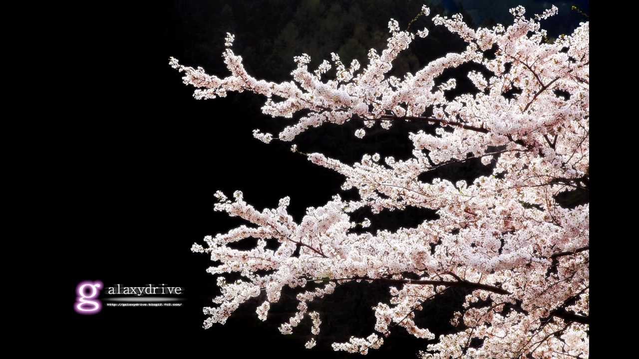 GABALL 「幸せの表現」　耳コピ　（YAMAHA EOS B700）