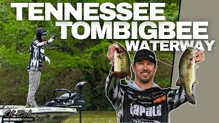 Tennessee Tombigbee Waterway // INSIDE THE MIND // BASS Elite Series