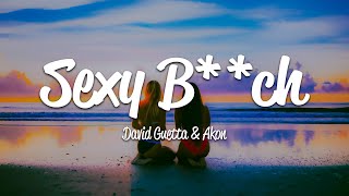 David Guetta - Sexy Bch Lyrics Ft Akon