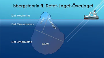 Vad menas med jaget?