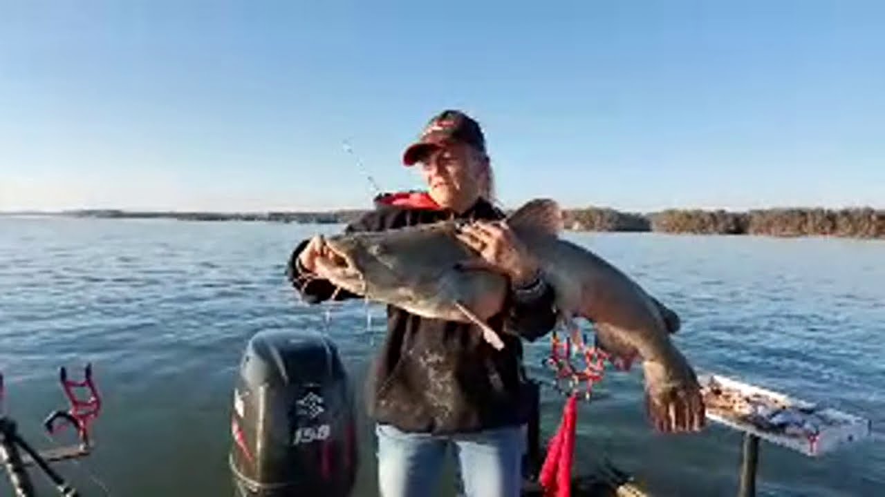 Just Catfish Fishing YouTube