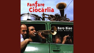 Video thumbnail of "Fanfare Ciocarlia - Asfalt Tango"