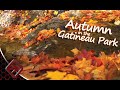 Autumn in the Gatineau Park