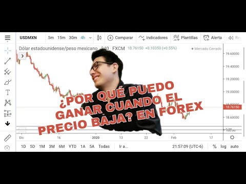 Que paises esta regulado forex
