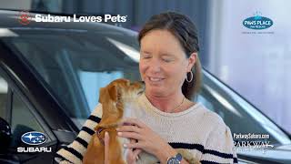 Parkway Subaru in Wilmington NC supports Paws Place Dog Recue during the Subaru Loves Pets event!