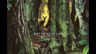 Watch David Sylvian Snow White In Appalachia video
