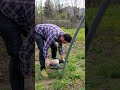 Quanto Ã¨ importante avere una #serra al giorno d'oggi? #mattthefarmer #orto