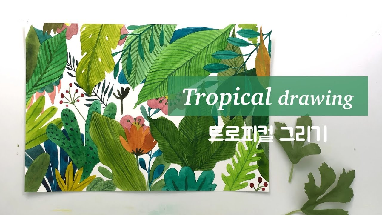 수채화 트로피칼 일러스트 Watercolor Tropical Illustration 
