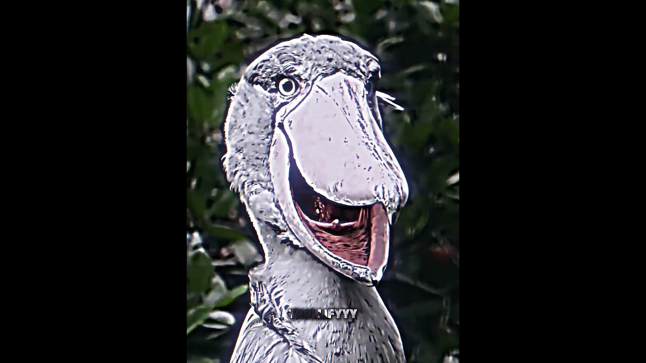 Terrifying Animals MYSTERIOUS MOSE FUNK Trollface Edit 